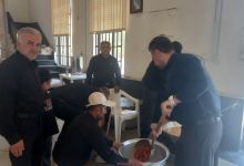 گزارش تصویری خدمات رسانی موکب آقای شهید